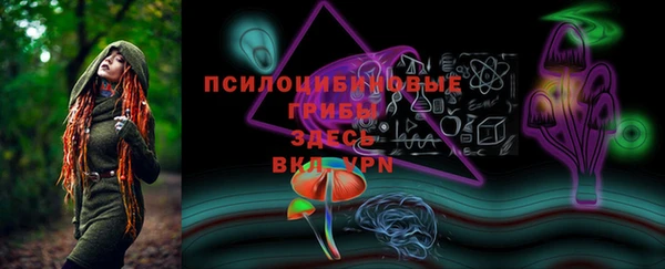 герыч Инта