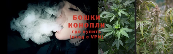 ПСИЛОЦИБИНОВЫЕ ГРИБЫ Иннополис
