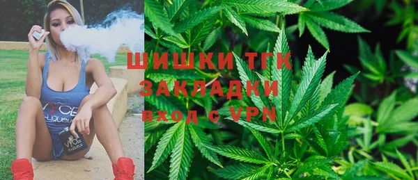 ПСИЛОЦИБИНОВЫЕ ГРИБЫ Иннополис