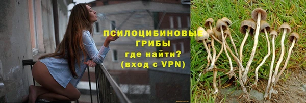 герыч Инта