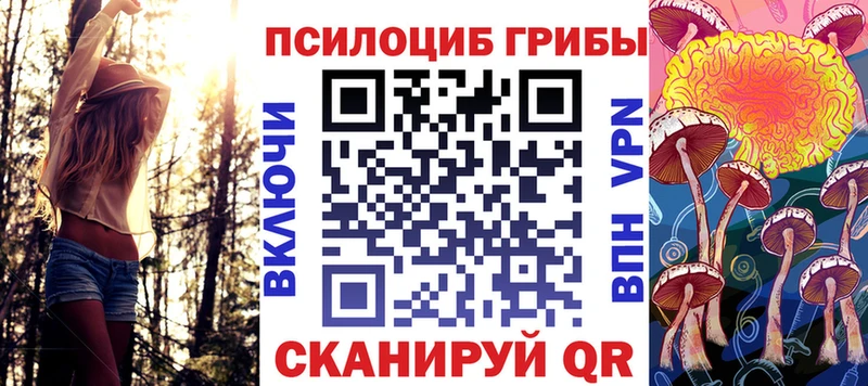 Галлюциногенные грибы мицелий  ссылка на мегу зеркало  Новочеркасск  где можно купить  